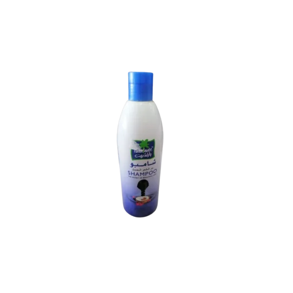 PARACHUTE COCONUT SHAMPOO 380ML